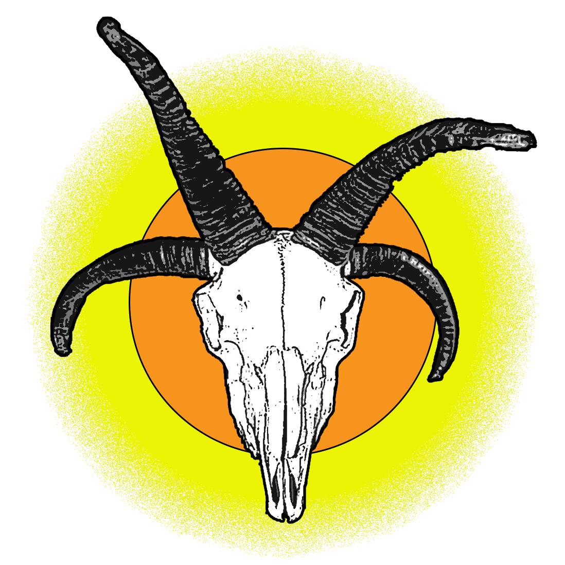 Dot Ranch Skull